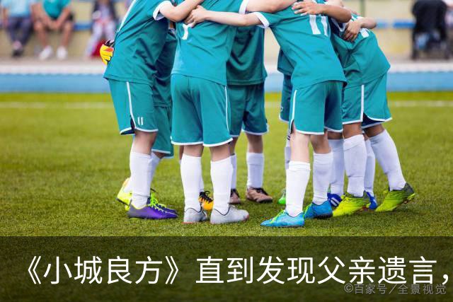 《小城良方》直到发现父亲遗言，艾辰才知，刘铮亮求婚的真相