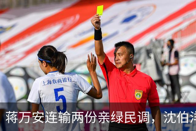 蒋万安连输两份亲绿民调，沈伯洋却笑不出来，洋流摧毁民进党选情