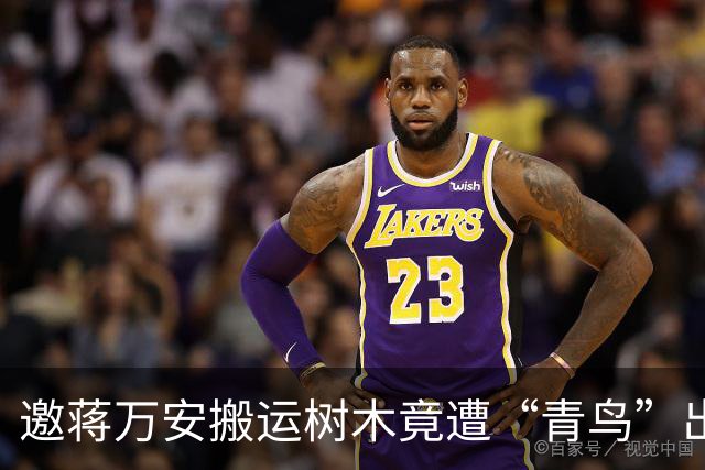 邀蒋万安搬运树木竟遭“青鸟”出征，清洁队长：我好内疚、很难过